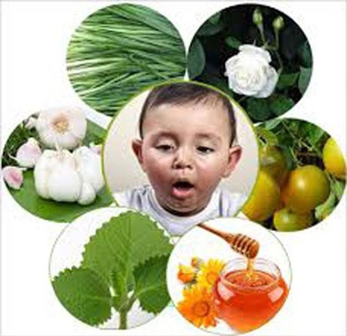 Những bài thuốc dân gian trị ho hiệu quả