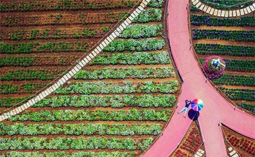 Những góc ảnh đẹp của nhiếp ảnh gia Việt Nam tại giải ảnh quốc tế