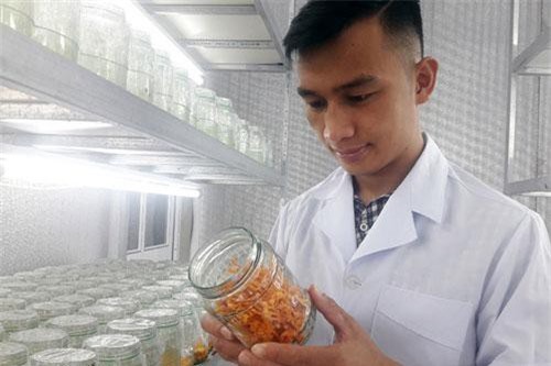 Thanh Hóa: Kỹ sư trẻ trồng thành công đông trùng hạ thảo, thu nhập cao