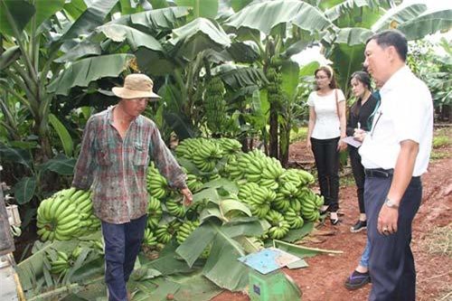 Trung Quốc tăng mạnh nhập khẩu trái cây