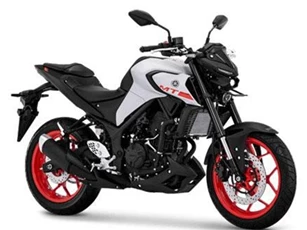 Yamaha MT-03 2020 trình làng với giá rẻ bất ngờ, quyết so kè Honda CB300R