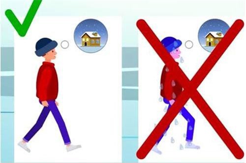 Câu đố 'hại não' kiểm tra kỹ năng sinh tồn của bạn