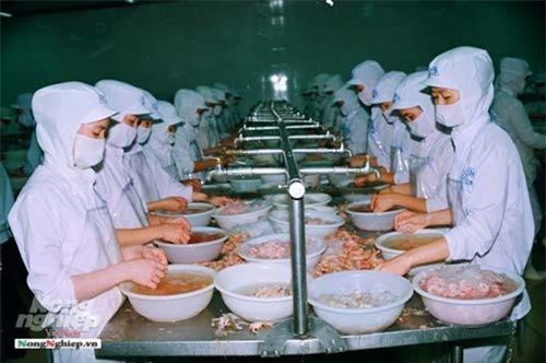 Đưa tôm Bạc Liêu trở thành thương hiệu quốc gia