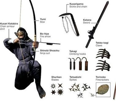 Hé lộ những sự thật thú vị về Ninja