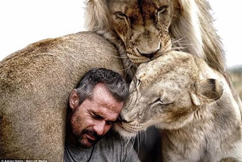 Ly kỳ sự gắn bó giữa người và sư tử hoang dã