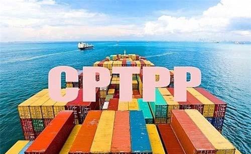 Xác định xuất xứ hàng hóa hưởng thuế suất ưu đãi đặc biệt theo Hiệp định CPTPP