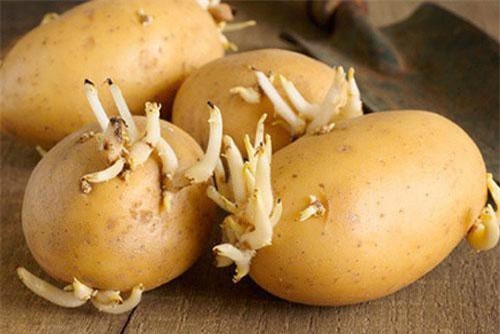 5 thực phẩm siêu độc vẫn xuất hiện trong nhà bếp, các bà nội trợ thông thái chớ chủ quan