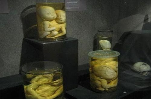 Bên trong 10 bảo tàng kỳ dị bậc nhất thế giới