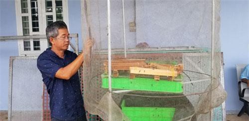 Đồng Tháp: Kiếm tiền triệu mỗi ngày nhờ nuôi... ruồi