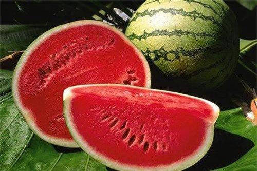 Mẹo chọn dưa hấu ngon trăm quả như một không phải ai cũng biết