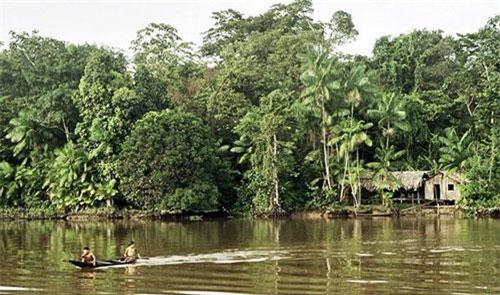 Những bí ẩn giật mình xung quanh rừng mưa Amazon