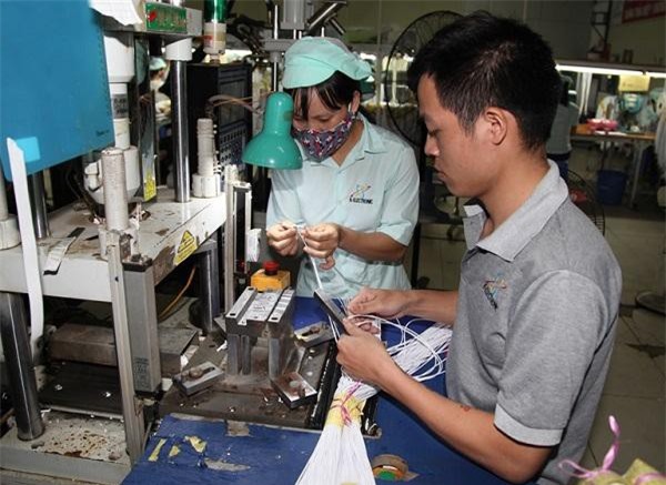 Trợ lực nào để các SME Việt Nam lớn mạnh?