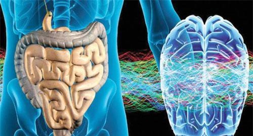 2 loại 'đau' báo hiệu ung thư ruột: Cảnh báo đối tượng này phải đi khám ngay lập tức