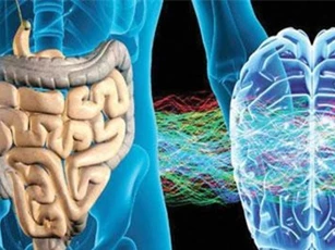 2 loại 'đau' báo hiệu ung thư ruột: Cảnh báo đối tượng này phải đi khám ngay lập tức