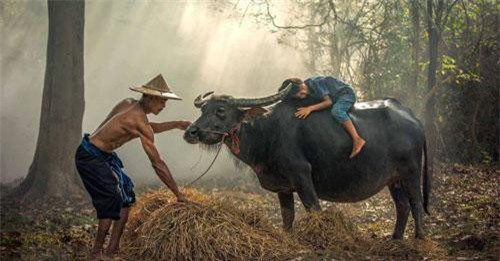 3 câu nói vô tình của con cái khiến cha mẹ đau thấu tận tâm can