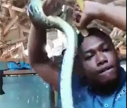 CLIP: Nam thanh nhiên nhận cái kết 'đắng' khi chọc giận 'thú cưng'