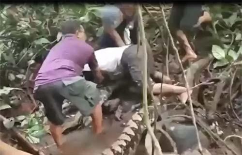 CLIP: 'Rợn người' bắt trăn gấm dài 8 mét bằng tay không