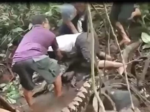 CLIP: 'Rợn người' bắt trăn gấm dài 8 mét bằng tay không