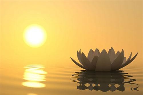 Chẳng có gì là mãi mãi, biết chấp nhận mới có thể an lạc