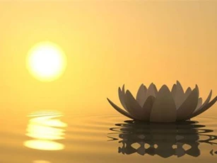 Chẳng có gì là mãi mãi, biết chấp nhận mới có thể an lạc