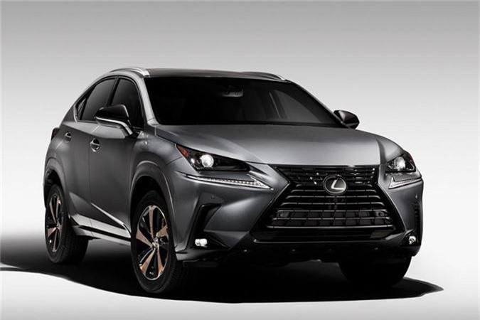 Chi tiết Lexus NX 300 Black Line Special Edition 2020, giá hơn 1 tỷ đồng
