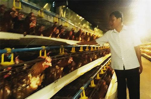 Hải Phòng: Trở thành tỷ phú từ kinh tế trang trại