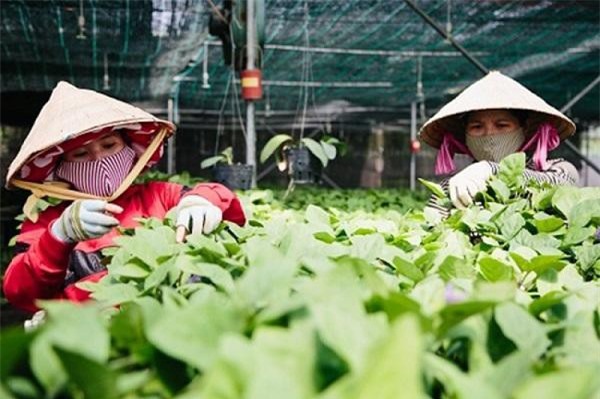 Ngày 8/10, tọa đàm quan trọng hướng tới lợi ích doanh nghiệp và người thu nhập thấp