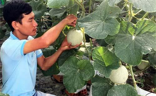 Tinh thần khởi nghiệp phát huy mạnh mẽ vai trò xung kích, sáng tạo của tuổi trẻ