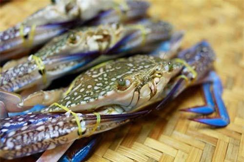 Xuất khẩu cua ghẹ tháng 8 giảm nhẹ