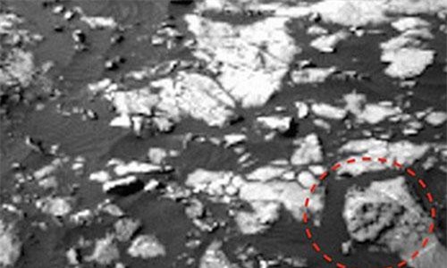 Bằng chứng giật mình về loài khủng long bạo chúa trên sao Hỏa