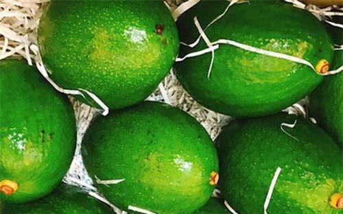 Chi nửa triệu mua quả bơ sáp khổng lồ nặng 1kg