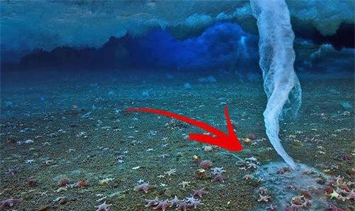 Kinh hãi 'ngón tay tử thần' đóng băng mọi sinh vật dưới biển