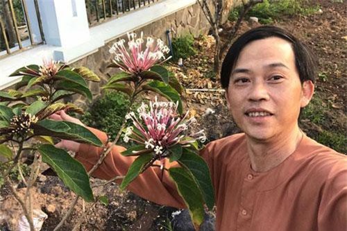 Soi phản ứng của sao Việt khi bị đồn hết thời, ế show