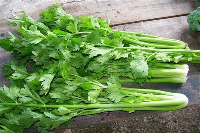 Thực phẩm “vàng” giúp cải thiện làn da xanh xao mệt mỏi - Hình 3 Thuc pham “vang” giup cai thien lan da xanh xao met moi-Hinh-3