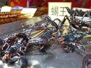 8 món ăn đường phố thách thức sự can đảm của thực khách