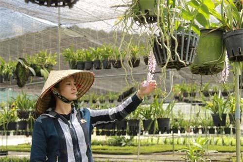 Lâm Đồng: Sắm xe hơi, xây nhà lầu nhờ trồng hoa lan