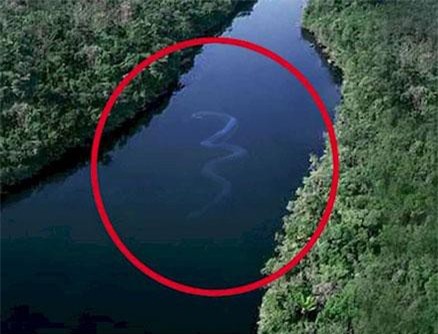 Những thủy quái kinh dị khiến con người sởn gai ốc