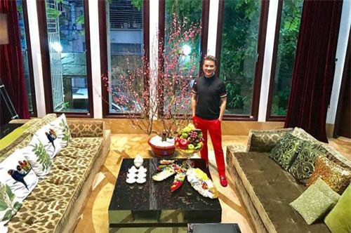 Phủ nhận rao biệt thự, Đàm Vĩnh Hưng sở hữu bất động sản 'khủng' nào?