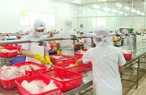 Doanh nghiệp chạy đua đầu tư để hưởng lợi từ các FTA