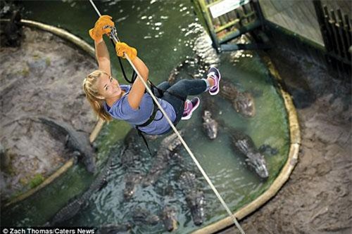 Hoảng hồn xem người liều lĩnh đu dây qua hồ cá sấu