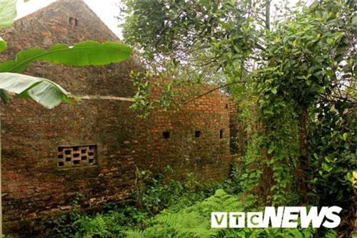 Ngôi nhà bí ẩn ở Thái Bình: Lợn, gà, vịt tự dưng 'hóa rồ' rồi lăn đùng ra chết