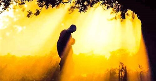 Phật dạy: Số mệnh con người sớm được an bài, nhưng đây mới là điều quyết định tương lai của bạn