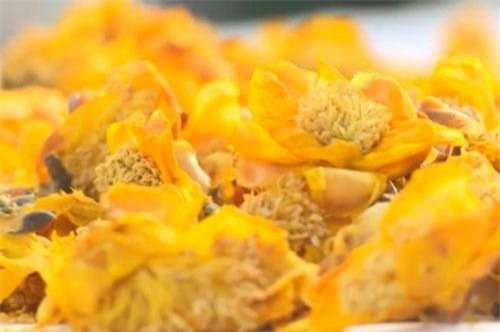 Quảng Ninh: Lãi 500 triệu đồng/năm nhờ nhân giống trà hoa vàng