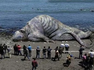 CLIP: Top 10 thủy quái nổi tiếng nhất mọi thời đại