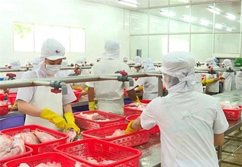 Tấn công mảng bán lẻ, doanh nghiệp xăng dầu quá liều?