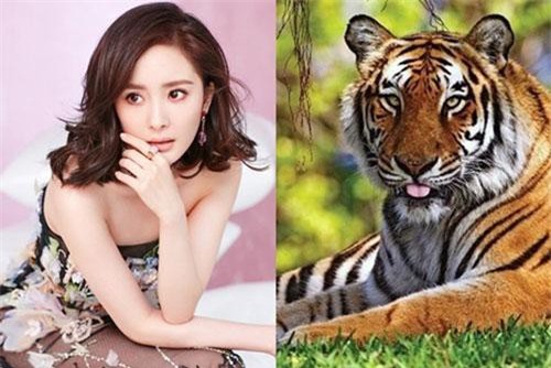 3 con giáp của cải đầy nhà, sắm nhà lầu xe hơi trong vòng 2 năm tới