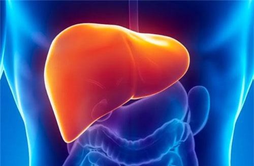 6 loại thực phẩm 'quý hơn thần dược', giúp lấy lại cân bằng cho gan nhiễm mỡ