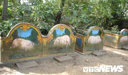 Chuyện ly kỳ về nghĩa địa heo quái thai ở Sóc Trăng