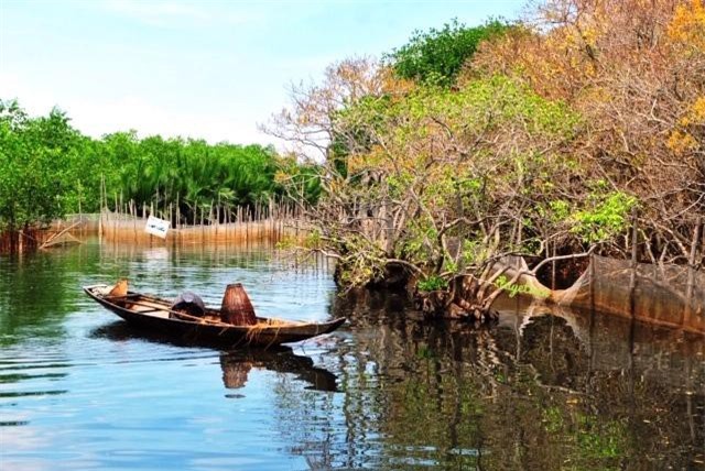 Cuộc thi vẽ 'Rừng ngập mặn bảo vệ cuộc sống, giảm thiểu tác động của biến đổi khí hậu'