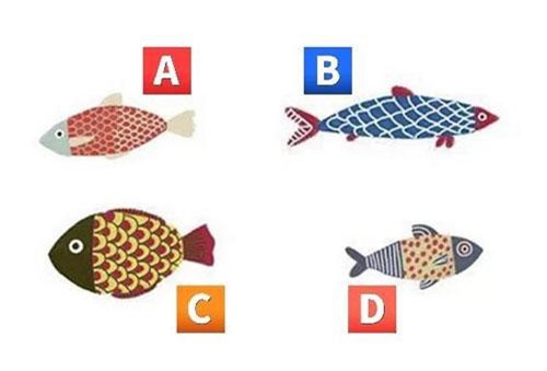 Trắc nghiệm: Bạn đang 'toàn tâm toàn ý' cho lĩnh vực nào của cuộc sống?